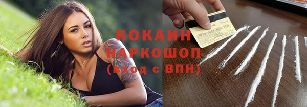 ешки Пересвет