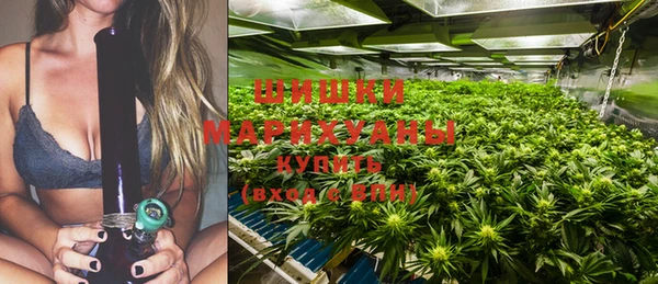 спайс Пестово