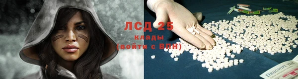 спайс Пестово