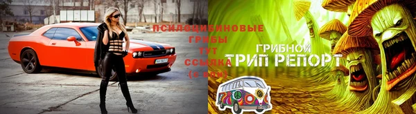 мескалин Переславль-Залесский