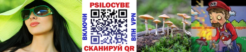 Купить где  Усолье-Сибирское  Псилоцибиновые грибы прущие грибы